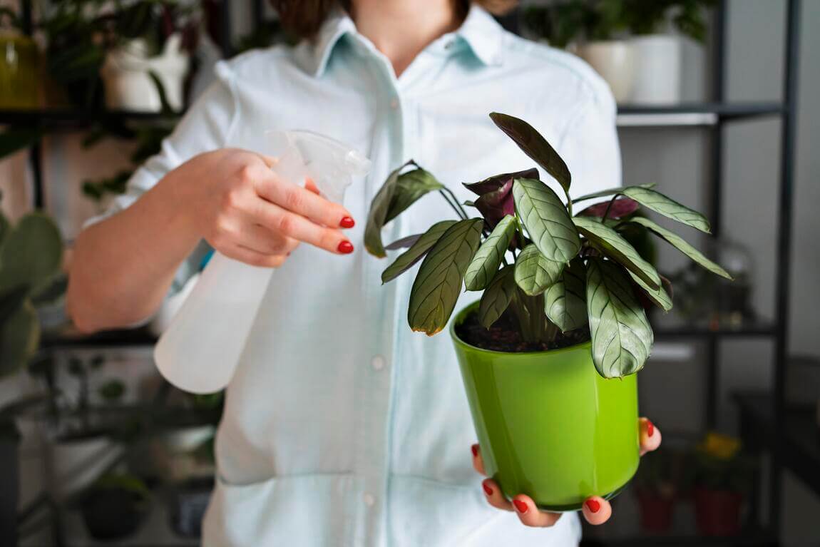 Mujer pulverizando hojas de plantas