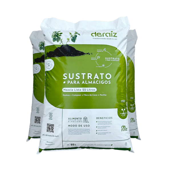 PACK GERMINANDO ANDO | 3 Unidades