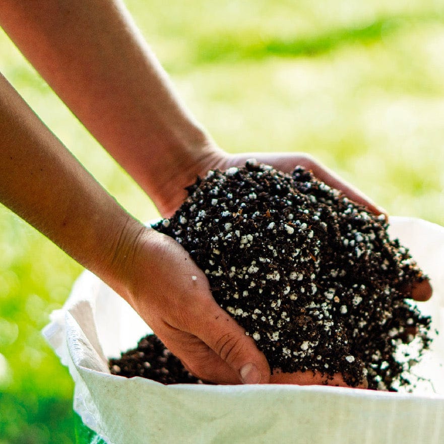 Producto Sustrato Almácigos | 30 Litros