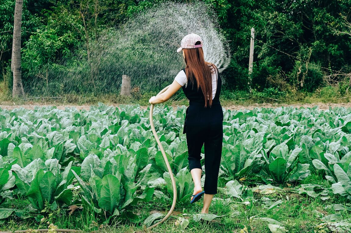 Mujer regando cultivos con una manguera - Imagen nota de cómo cuidar el agua