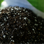 sustrato para plantas