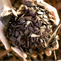 Mulch