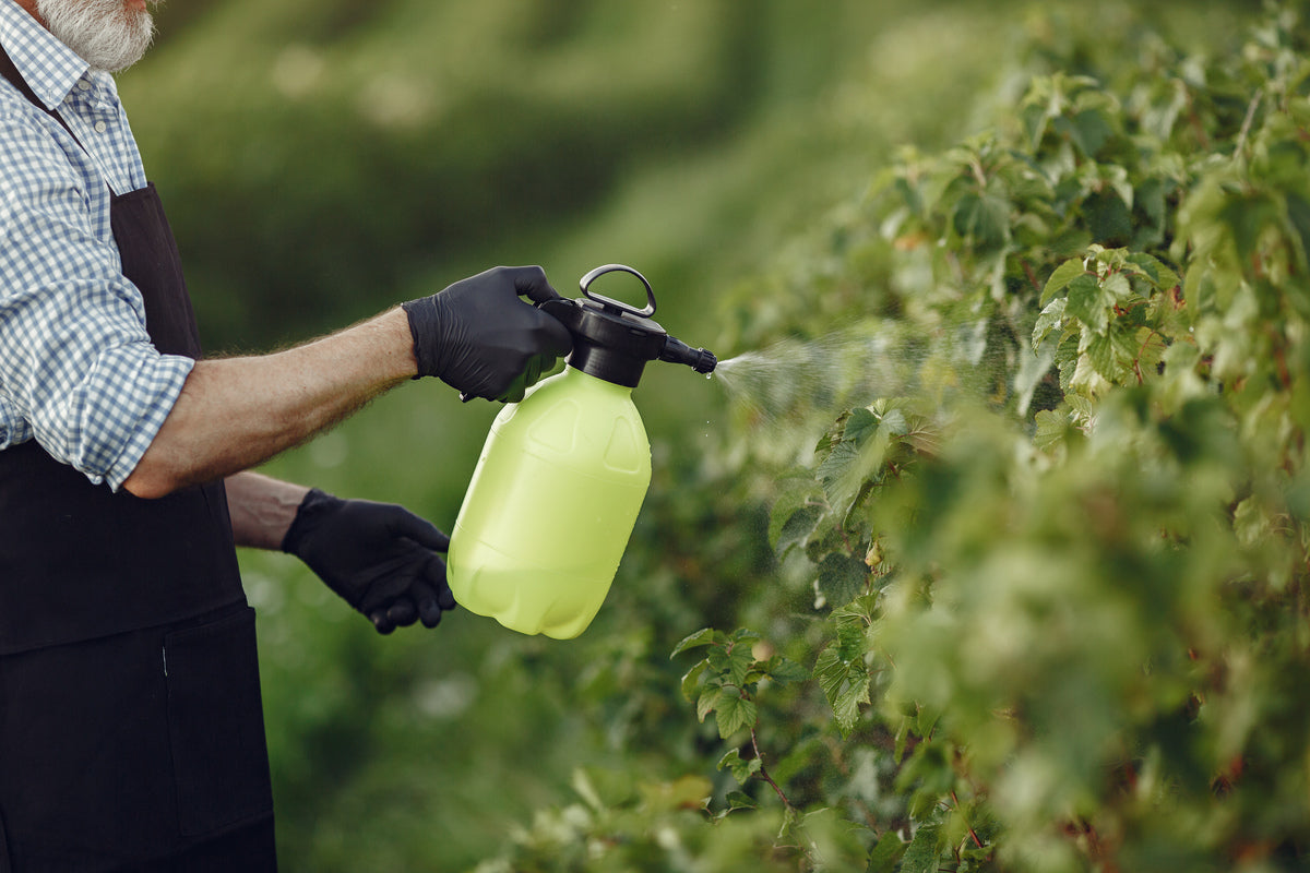 Hombre con biofertilizantes ventajas y desventajas