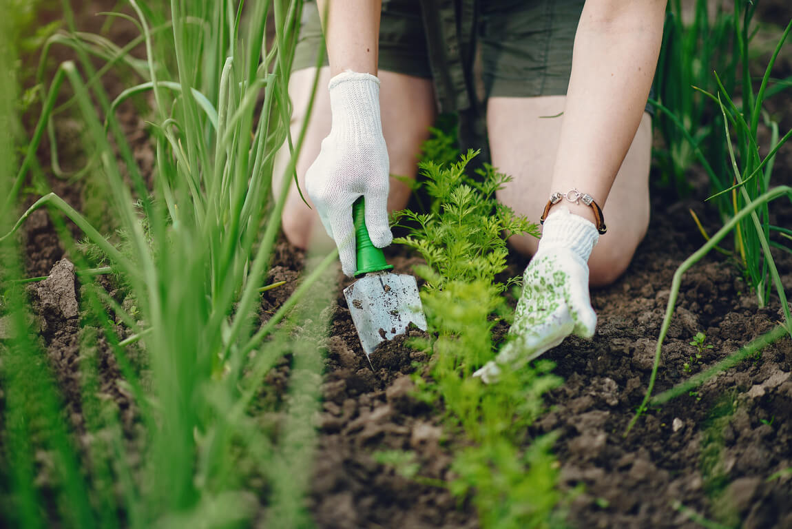 Mujer trabajando el jardin y sus cultivos
