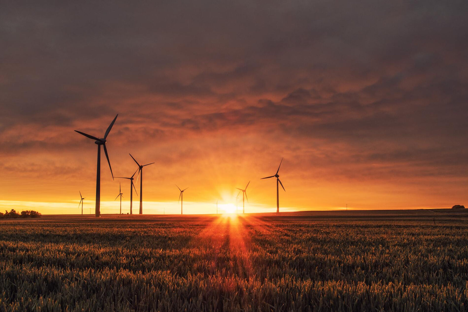 Paisaje de atardecer en un huerto y energia renovable - 