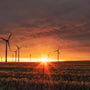 Paisaje de atardecer en un huerto y energia renovable - 