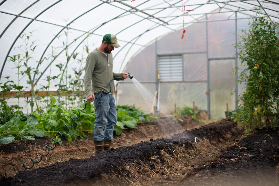 Hombre regando su huerto - imagen nota "cual es la mejor hora de regar las plantas"