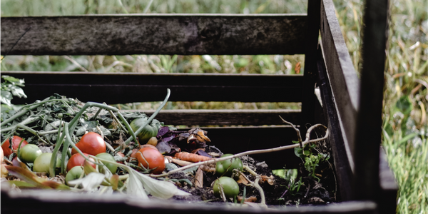 reciclaje de resiudos orgánicos