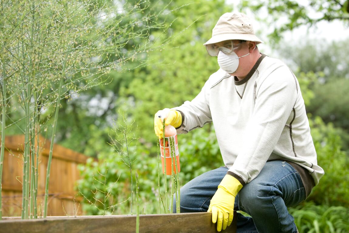 Persona en jardín (Importancia de los biofertilizantes)