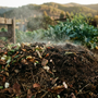 Pila de compost activa con vapor matinal en huerto orgánico chileno