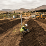Planta de compostaje industrial de De Raíz: hileras de compost y operario inspeccionando el proceso