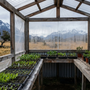 Invernadero casero en la Patagonia chilena con bandejas de almácigos y montañas nevadas al fondo