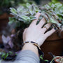 Mano de una persona tocando una planta - imagen nota de blog tipos de hongos en las plantas