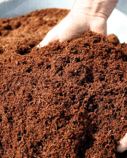 Fibra de Coco Bloque 5 Kg