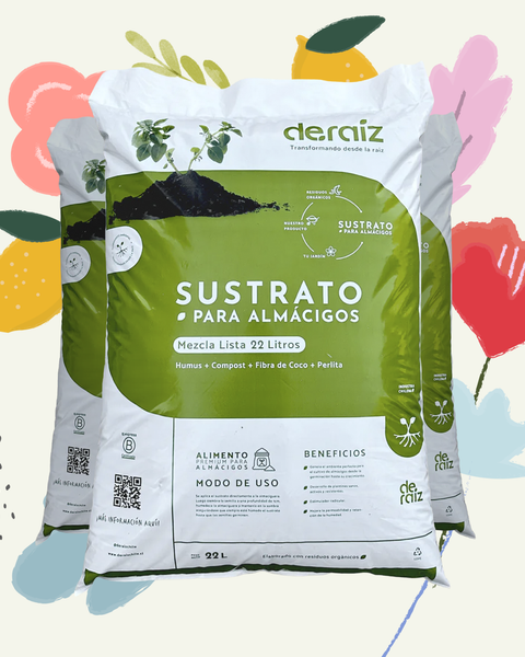 PACK GERMINANDO ANDO | 3 Unidades
