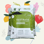 PACK GERMINANDO ANDO | 3 Unidades