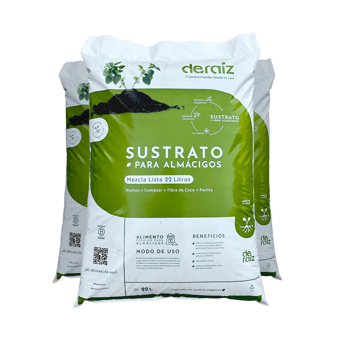 PACK GERMINANDO ANDO | 3 Unidades