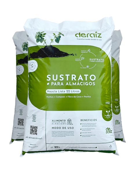 PACK GERMINANDO ANDO | 3 Unidades