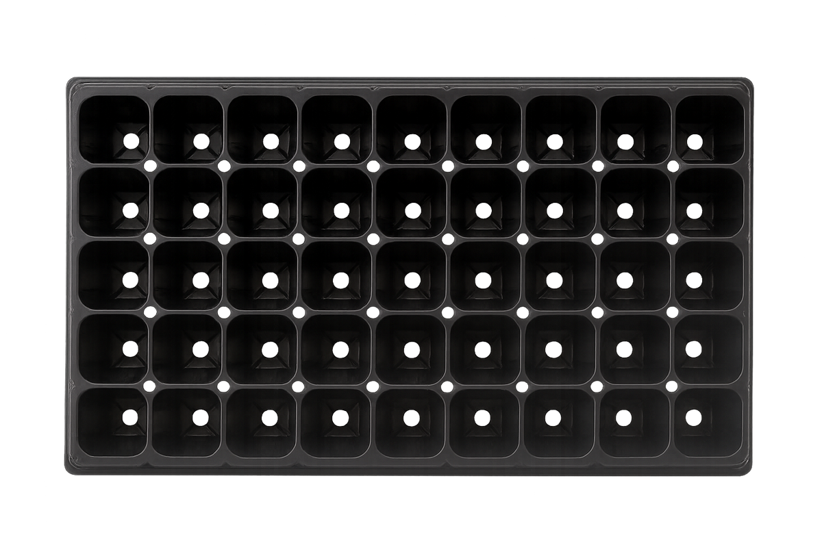 Almaciguera 50 cavidades