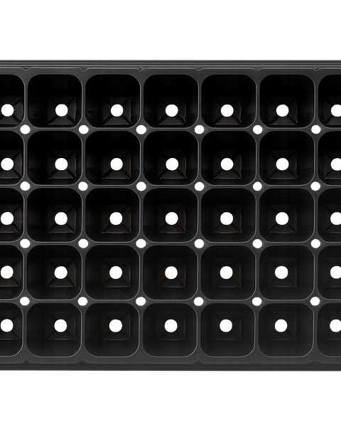 Almaciguera 50 cavidades