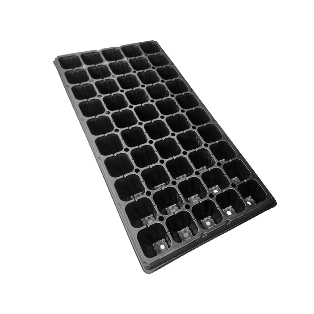 Almaciguera 50 cavidades