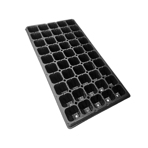 Almaciguera 50 cavidades