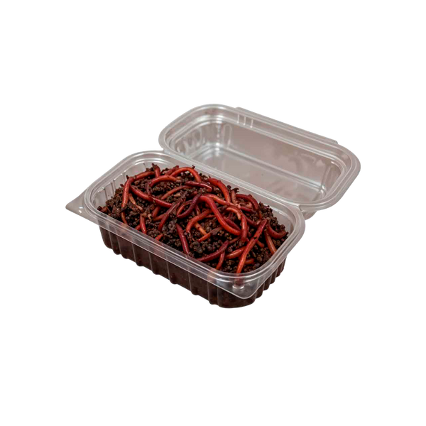 Núcleo de Lombrices Californianas