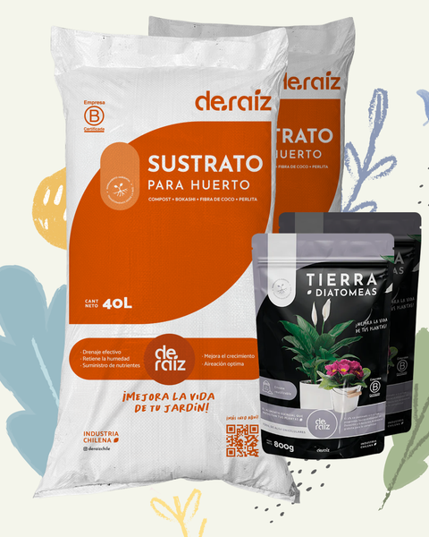 PACK HUERTO SALUDABLE | 3 Unidades