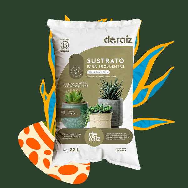 Sustrato Suculentas | 22 Litros o 10 Litros