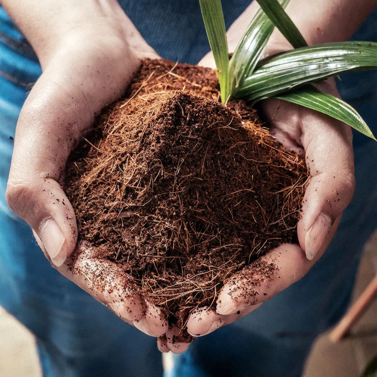 Fibra de Coco Bloque 5 Kg