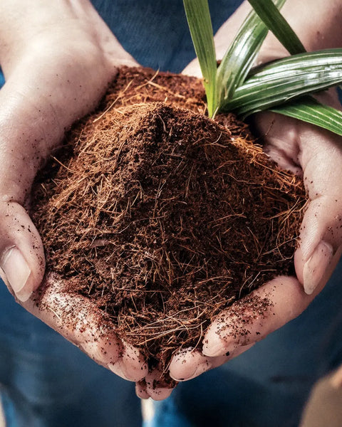 Fibra de Coco Bloque 5 Kg