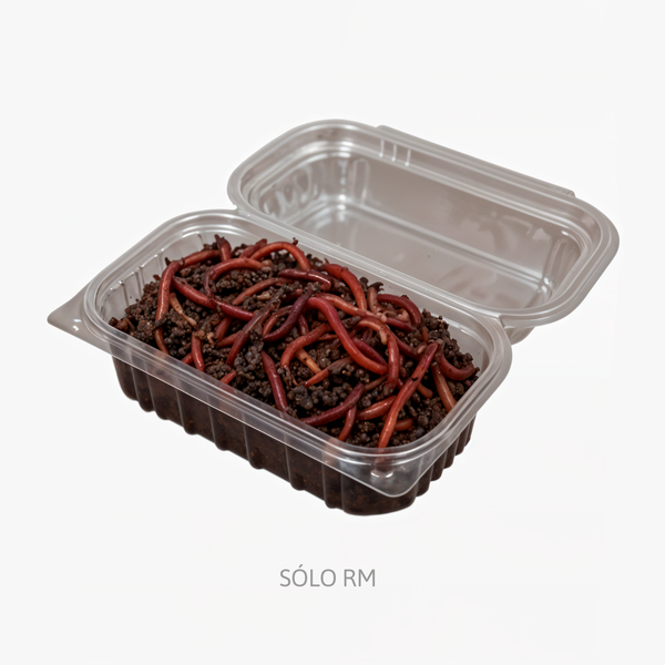 Kit Vermicompostera 60 Litros