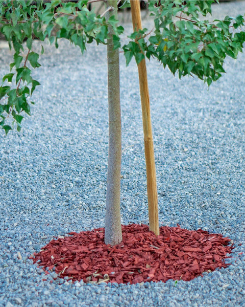 Mulch Rojo | 30 o 60 L