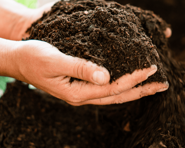 Compost PACK COMPOST PREMIUM | 5 Unidades