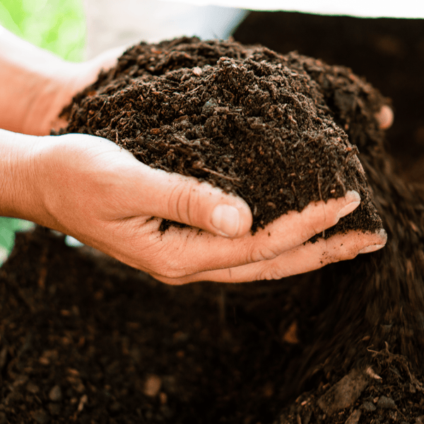 Compost PACK COMPOST PREMIUM | 5 Unidades