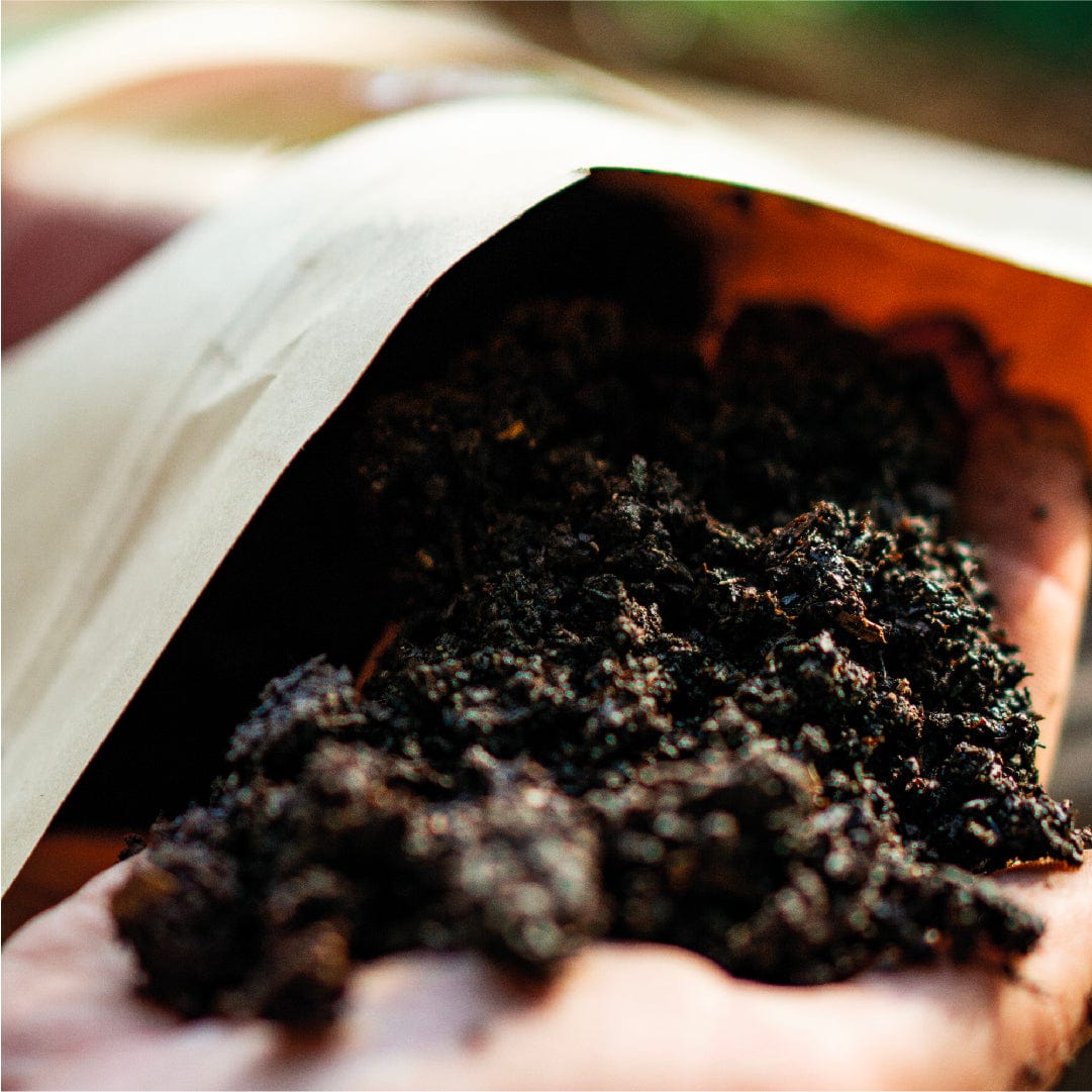 Pack Humus de Lombriz – De Raíz Chile | Expertos en Compost, Tierra de ...