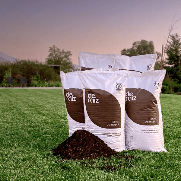 Producto PACK TIERRA DE HOJAS | 5 Unidades