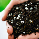 Sustrato Plantas de Interior  | 30 Litros