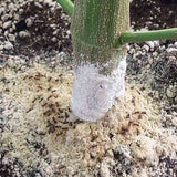 Jardín Tierra de Diatomeas | Insecticida y fertilizante orgánico