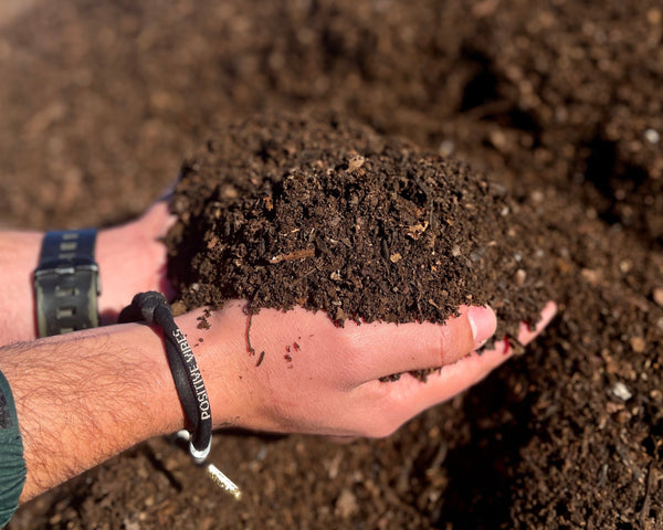 Compost Tierra de Hojas | 50 Litros